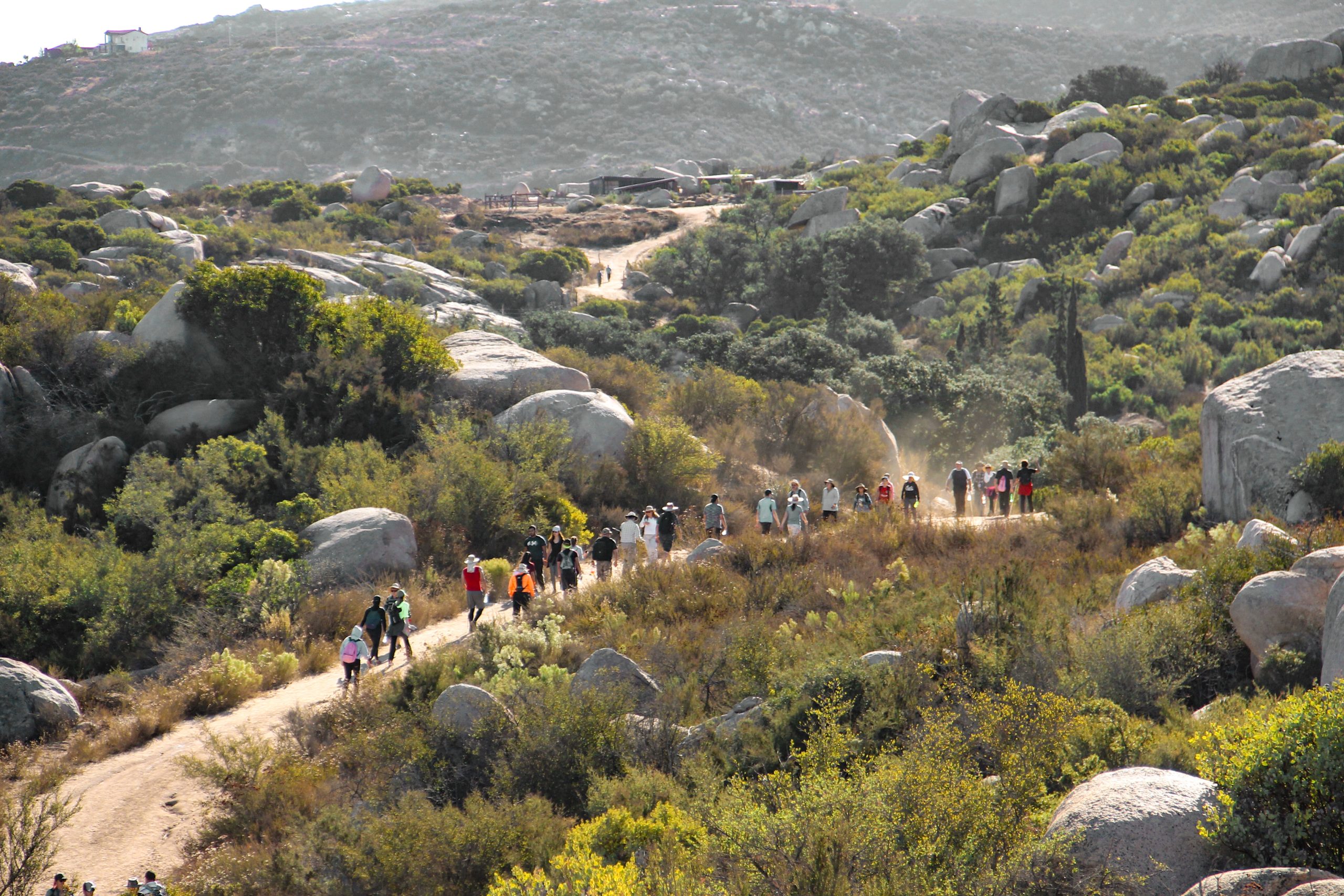 Hiking